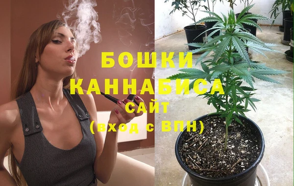 индика Беломорск