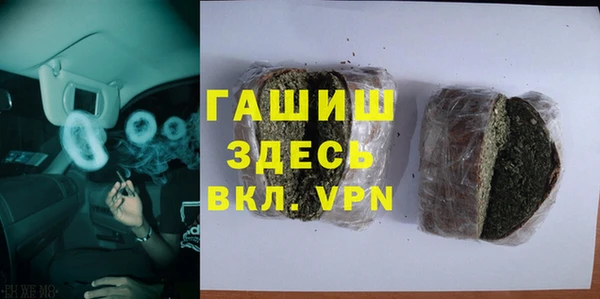 индика Беломорск
