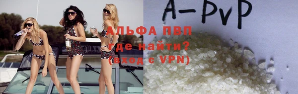 индика Беломорск