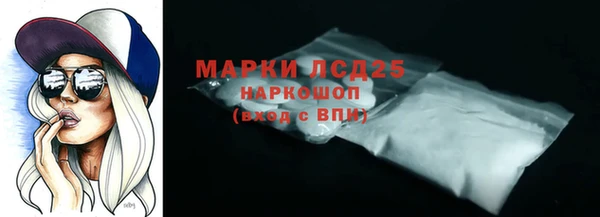 индика Беломорск