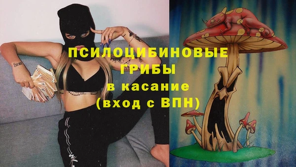 индика Беломорск