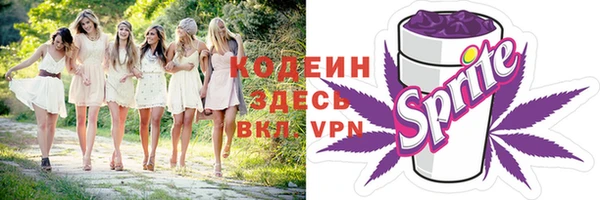 индика Беломорск